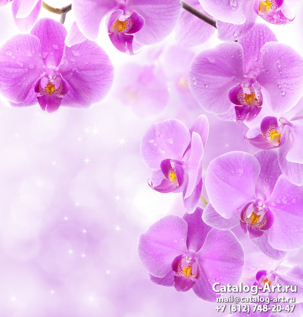 Натяжные потолки с фотопечатью - Розовые орхидеи 68